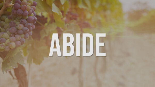 Abide: The Way to Thrive Image