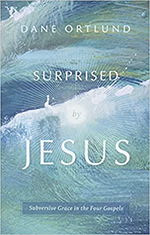 surprised by jesus book cover